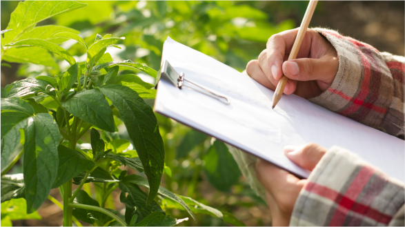 agro allied training