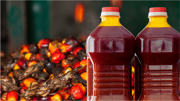 palm oil export